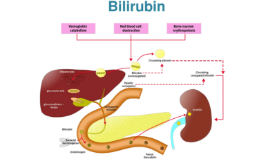 Bililrubin.png