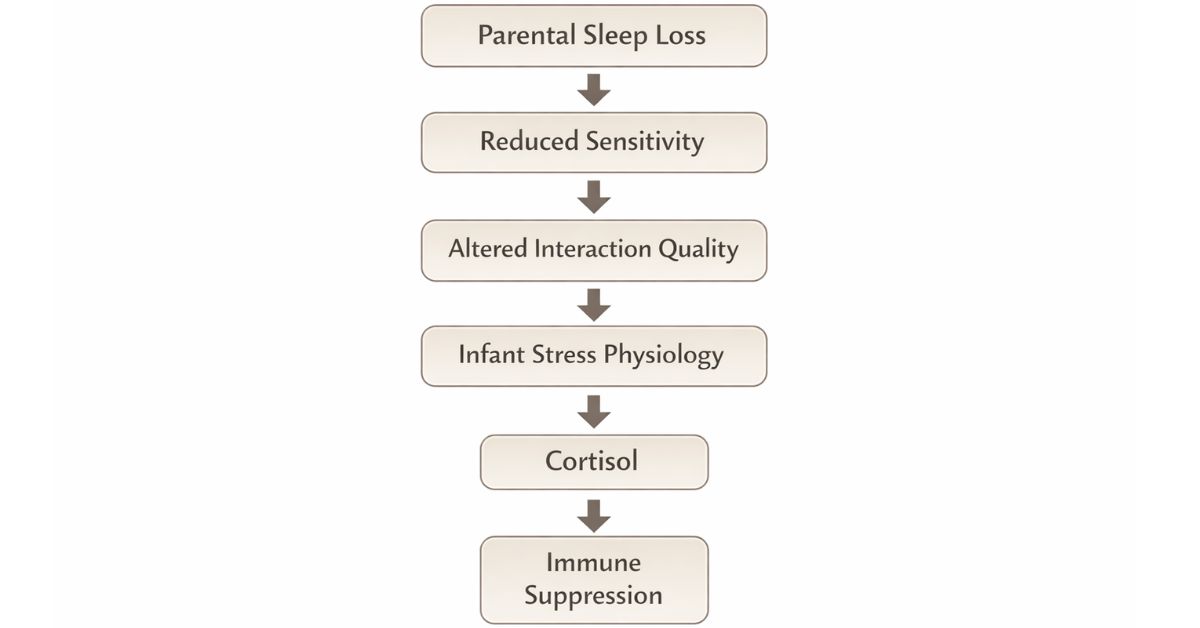 infant-sleep-chain-reaction-caregiver-sleep-loss.jpg