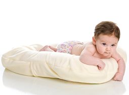 Snuggle Me Cushion Organic